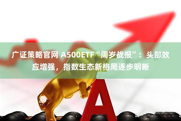 广证策略官网 A500ETF“周岁战报”：头部效应增强，指数生态新格局逐步明晰