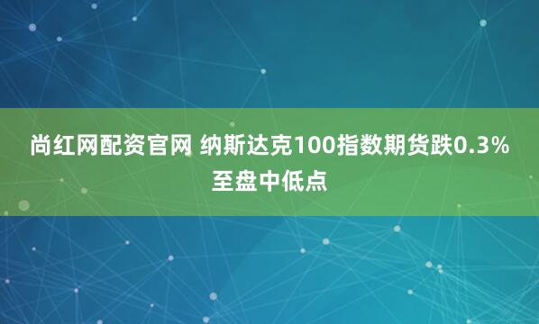 尚红网配资官网 纳斯达克100指数期货跌0.3%至盘中低点