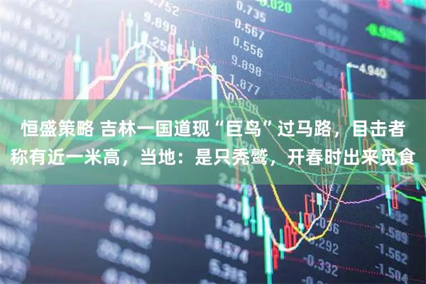 恒盛策略 吉林一国道现“巨鸟”过马路,目击者称有近一米高,当地:是只秃鹫,开春时出来觅食