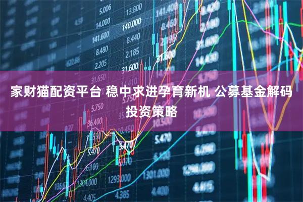 家财猫配资平台 稳中求进孕育新机 公募基金解码投资策略