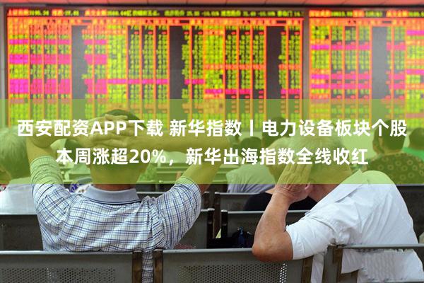 西安配资APP下载 新华指数丨电力设备板块个股本周涨超20%，新华出海指数全线收红