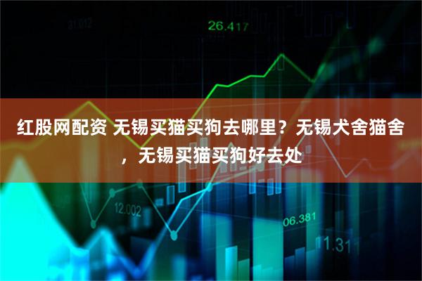 红股网配资 无锡买猫买狗去哪里？无锡犬舍猫舍，无锡买猫买狗好去处