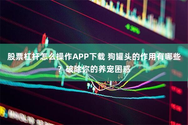 股票杠杆怎么操作APP下载 狗罐头的作用有哪些？破除你的养宠困惑